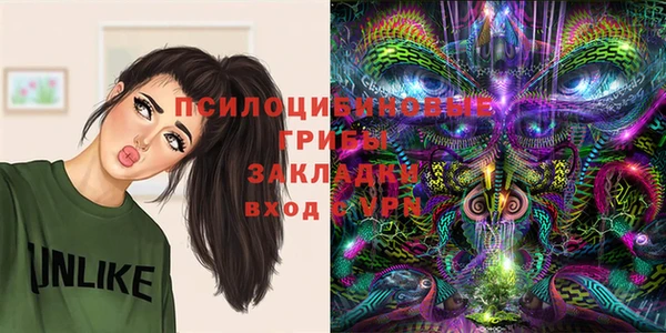 2c-b Нефтегорск