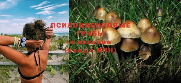 прущая мука Нея