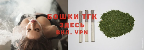 сатива Россошь