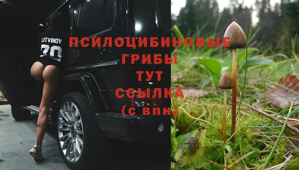 Альфа ПВП Ростов