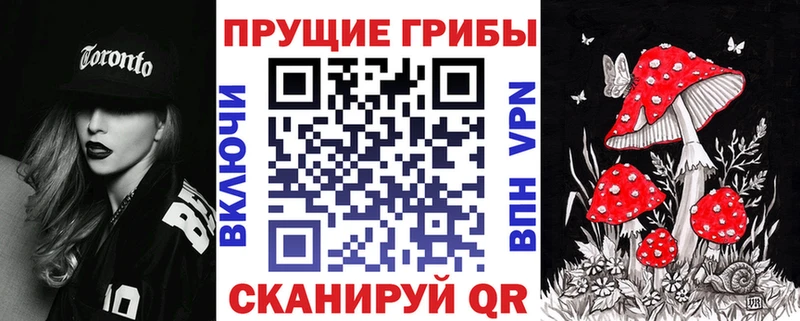 дарнет шоп  Новосиль  Галлюциногенные грибы ЛСД 